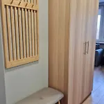 Scandinavian Saga In The Heart Of The Apartment