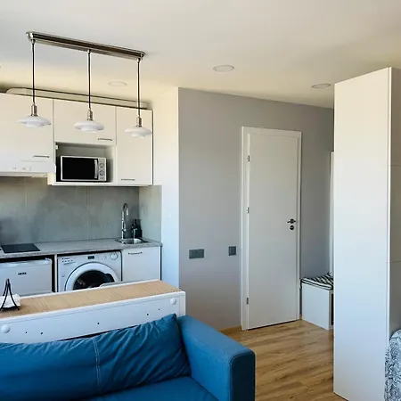 Apartment Scandinavian Saga In The Heart Of The Klaipeda
