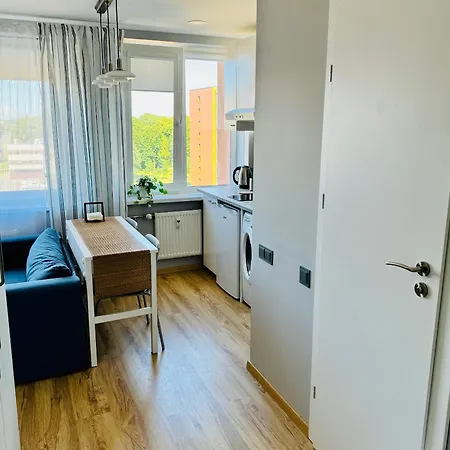 Apartment Scandinavian Saga In The Heart Of The *
