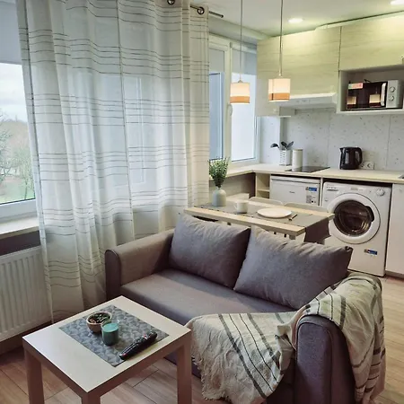 Apartment Scandinavian Saga In The Heart Of The