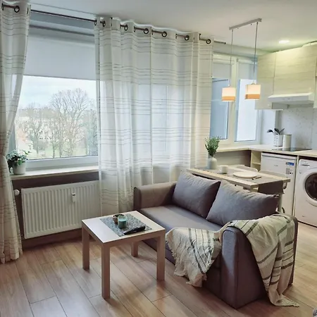 Scandinavian Saga In The Heart Of The Lägenhet