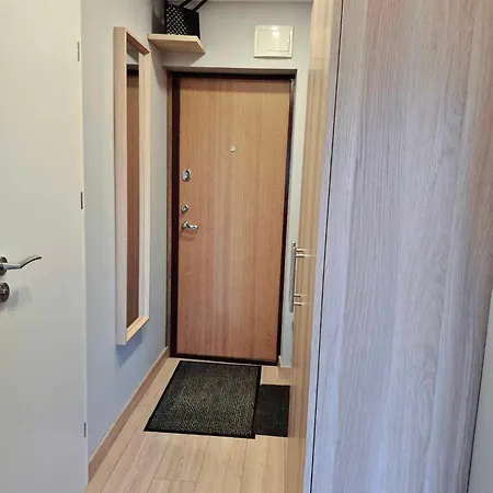 Apartment Scandinavian Saga In The Heart Of The *