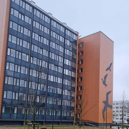 Scandinavian Saga In The Heart Of The *