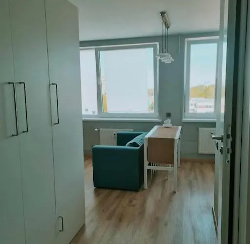 Scandinavian Saga In The Heart Of The