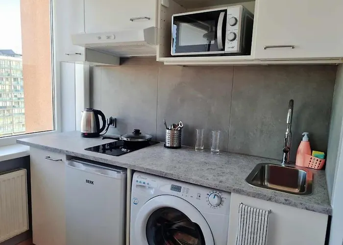 Apartment Scandinavian Saga In The Heart Of The *