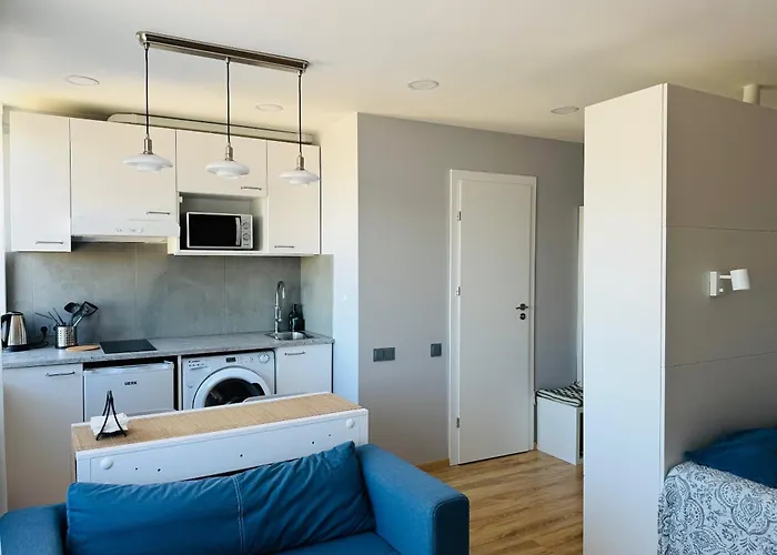 Apartment Scandinavian Saga In The Heart Of The Klaipeda