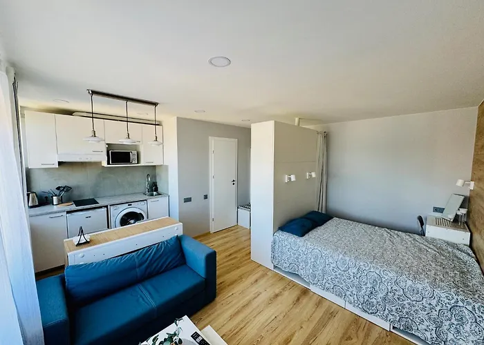 Apartment Scandinavian Saga In The Heart Of The *