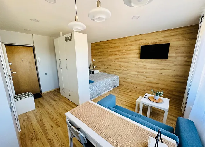 Apartment Scandinavian Saga In The Heart Of The *