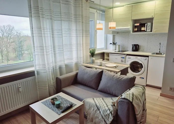 Apartment Scandinavian Saga In The Heart Of The