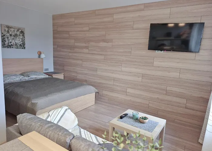 Scandinavian Saga In The Heart Of The *