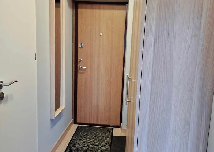 Apartment Scandinavian Saga In The Heart Of The *