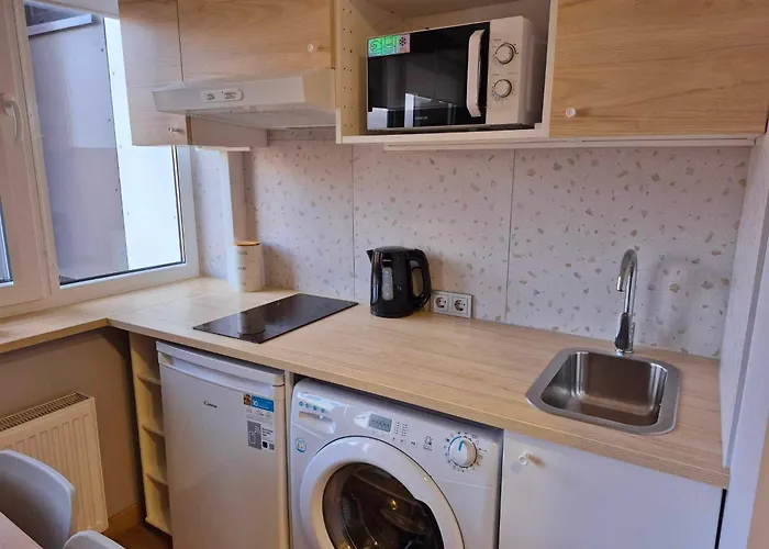 Scandinavian Saga In The Heart Of The Apartment *