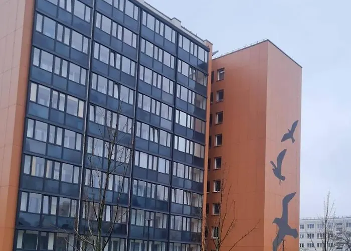 Scandinavian Saga In The Heart Of The *