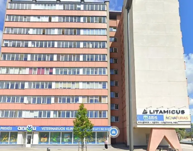 Apartment Scandinavian Saga In The Heart Of The Klaipeda